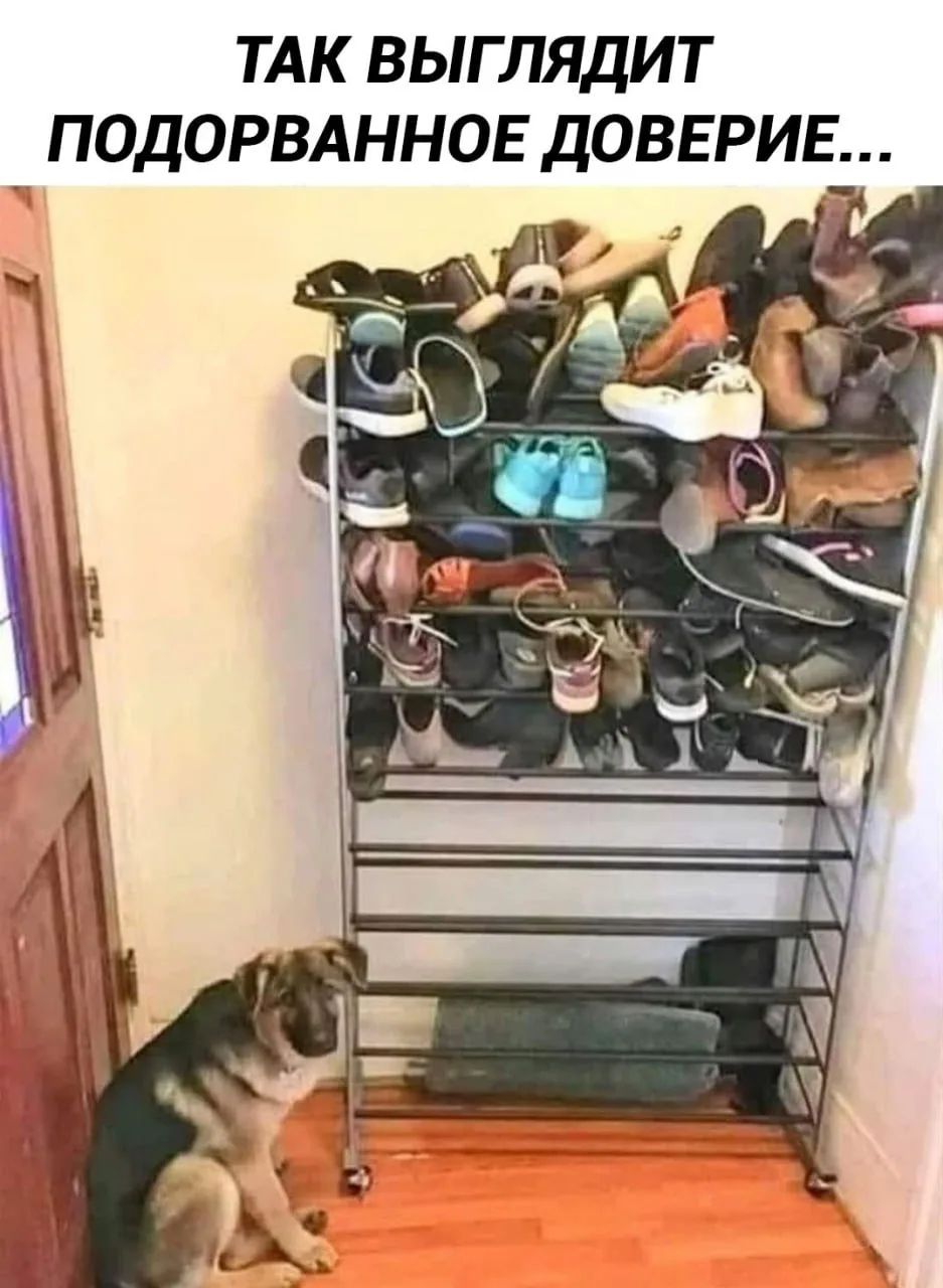 ТАК ВЫГЛЯДИТ ПОДОРВАННОЕ ДОВЕРИЕ...