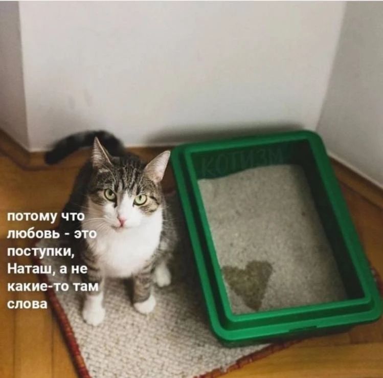 потому что любовь - это поступки, Наташа, а не какие-то там слова