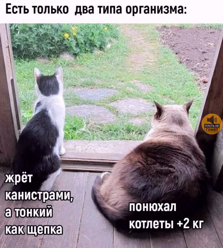 Есть только два типа организма:
жрёт канистрами, а тонкий как щепка
понюхал котлеты +2 кг