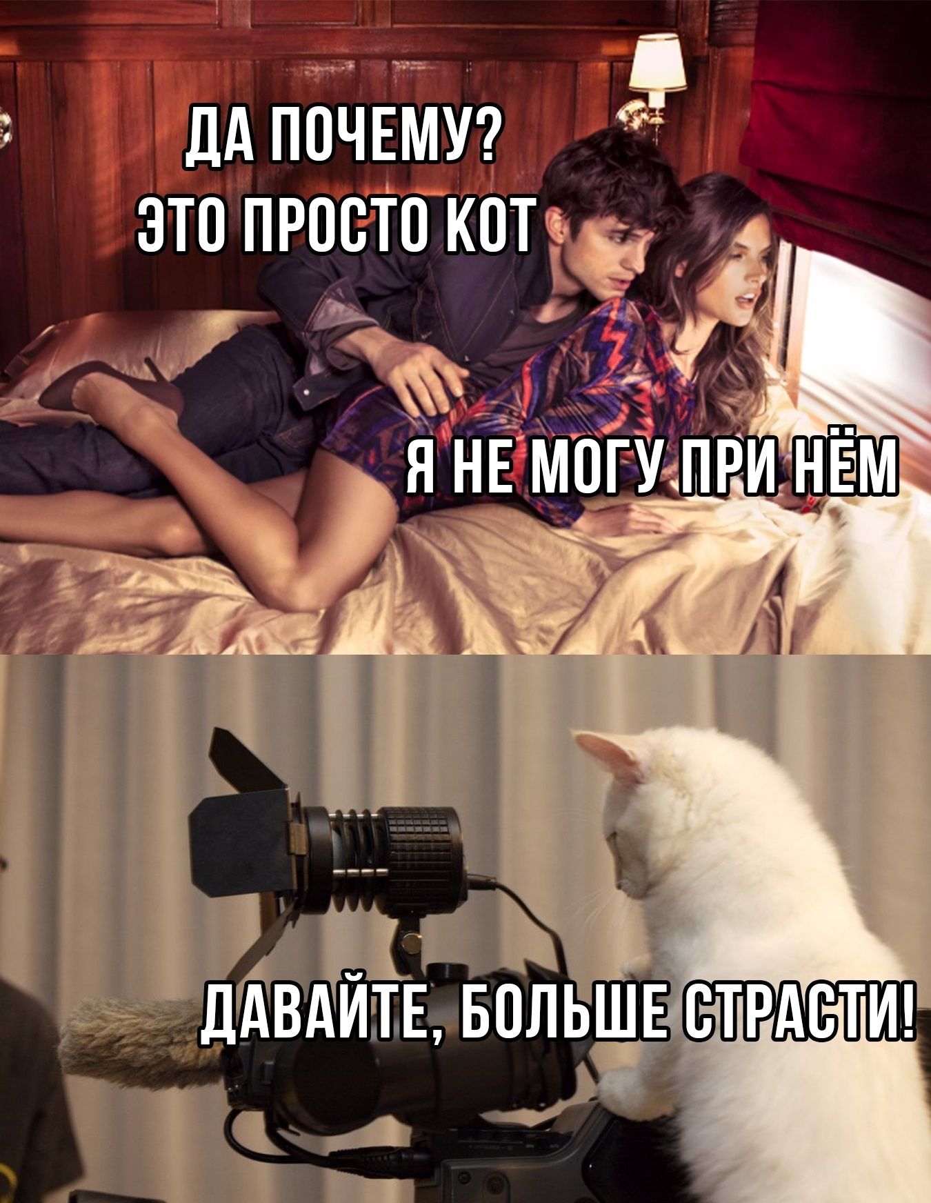 ДА ПОЧЕМУ? ЭТО ПРОСТО КОТ Я НЕ МОГУ ПРИ НЁМ ДАВАЙТЕ, БОЛЬШЕ СТРАСТИ!