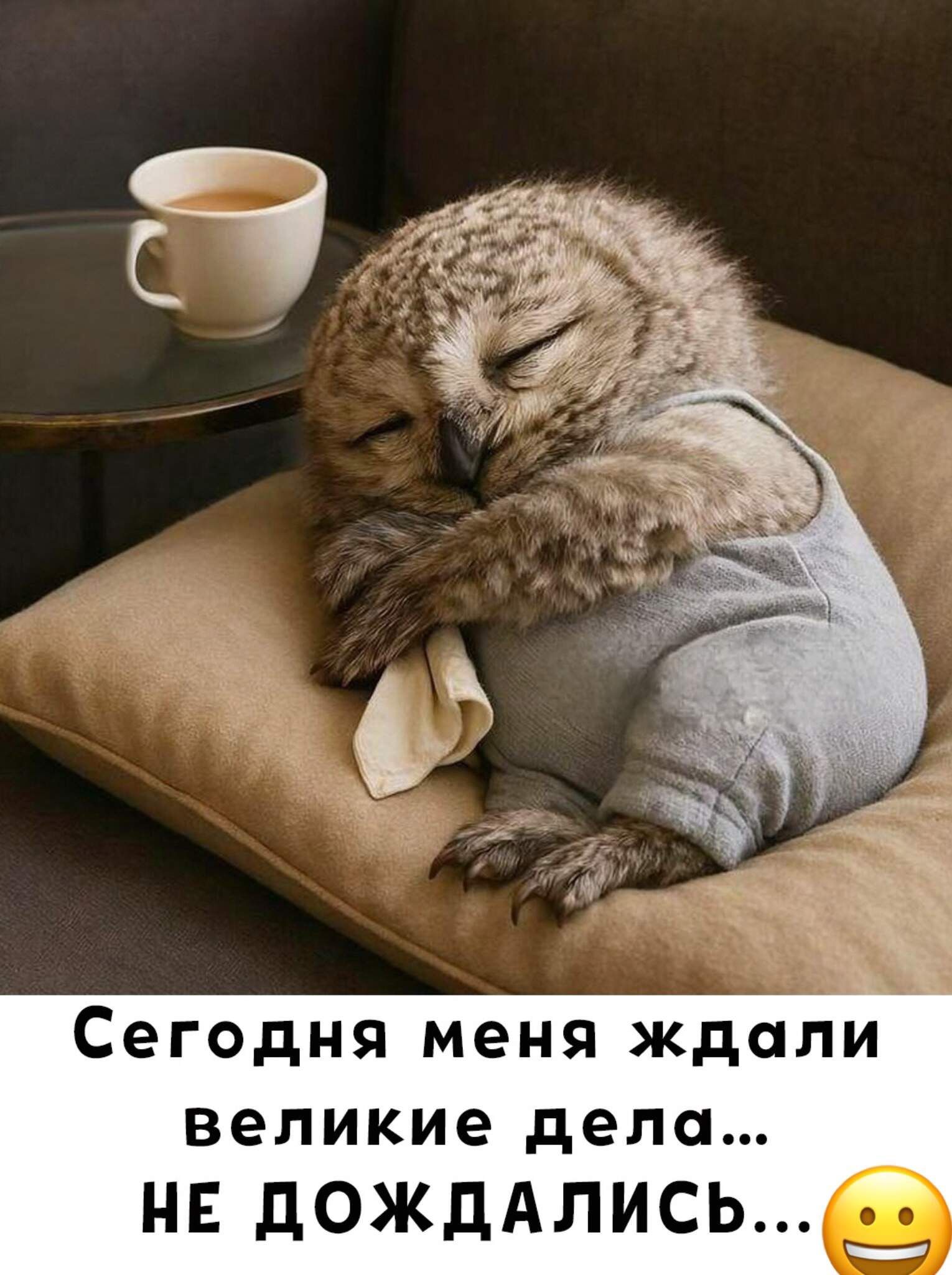 Сегодня меня ждали великие дела... НЕ ДОЖДАЛИСЬ…