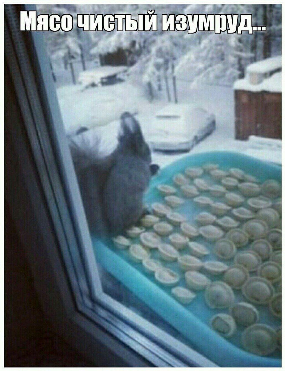 Мясо чистый изумруд...