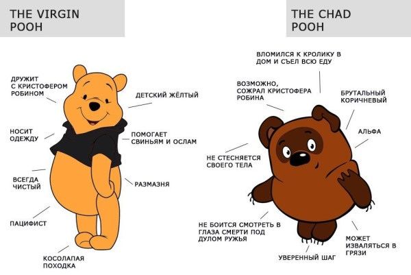 THE VIRGIN POOH / THE CHAD POOH; ДРУЖИТ С КРИСТОФЕРОМ РОБИНОМ; НОСИТ ОДЕЖДУ; ВСЕГДА ЧИСТЫЙ; ПОМОГАЕТ СЫНЬЯМ И ОСАМ; РАЗМЯЗНА; НЕ СТЕСТЬСЯ ТЕЛА; НЕ БОИТСЯ СМОТРЕТЬ В ГЛАЗА СМЕРТИ; УВЕРЕННЫЙ ШАГ.