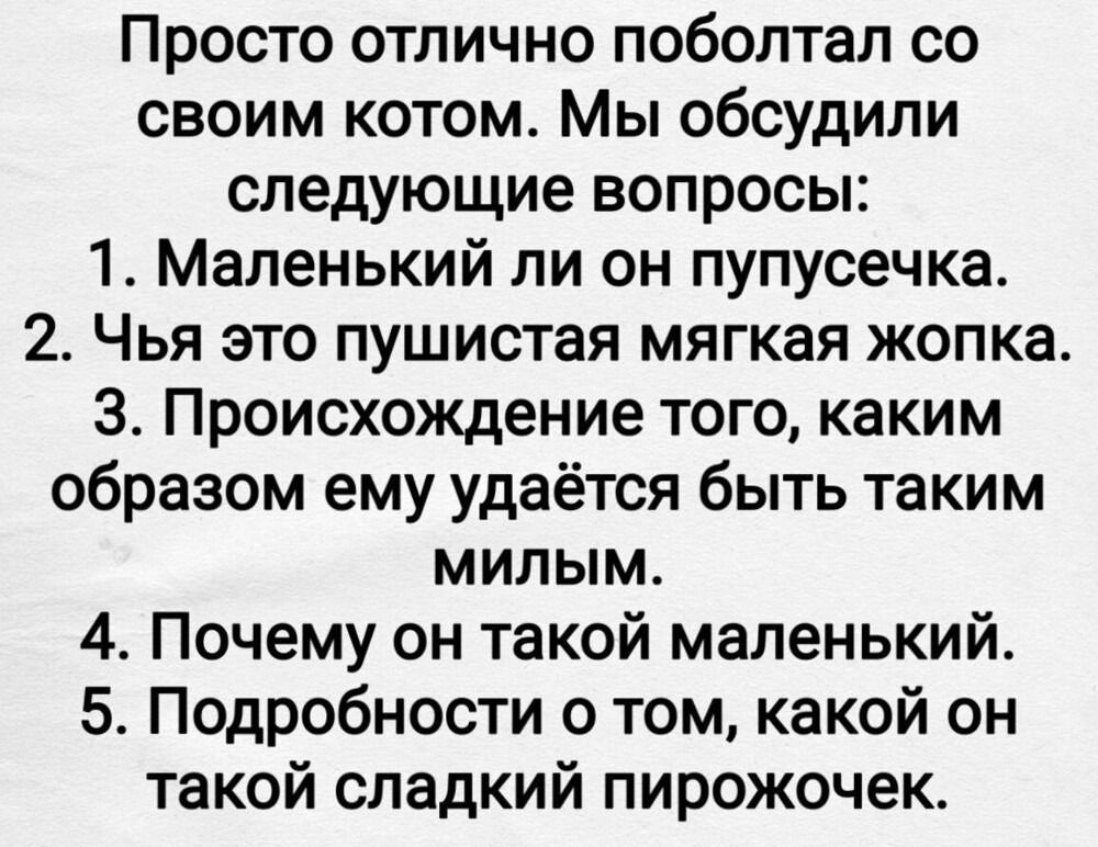 Просто отлично поболтал со своим котом. Мы обсудили следующие вопросы:
1. Маленький ли он попусечка.
2. Чья это пушистая мягкая жопка.
3. Происхождение того, каким образом ему удаётся быть таким милым.
4. Почему он такой маленький.
5. Подробности о том, какой он такой сладкий пирожочек.