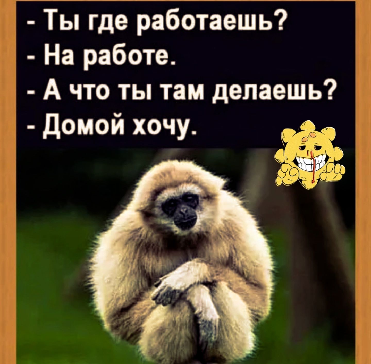 - Ты где работаешь? - На работе. - А что ты там делаешь? - Домой хочу.