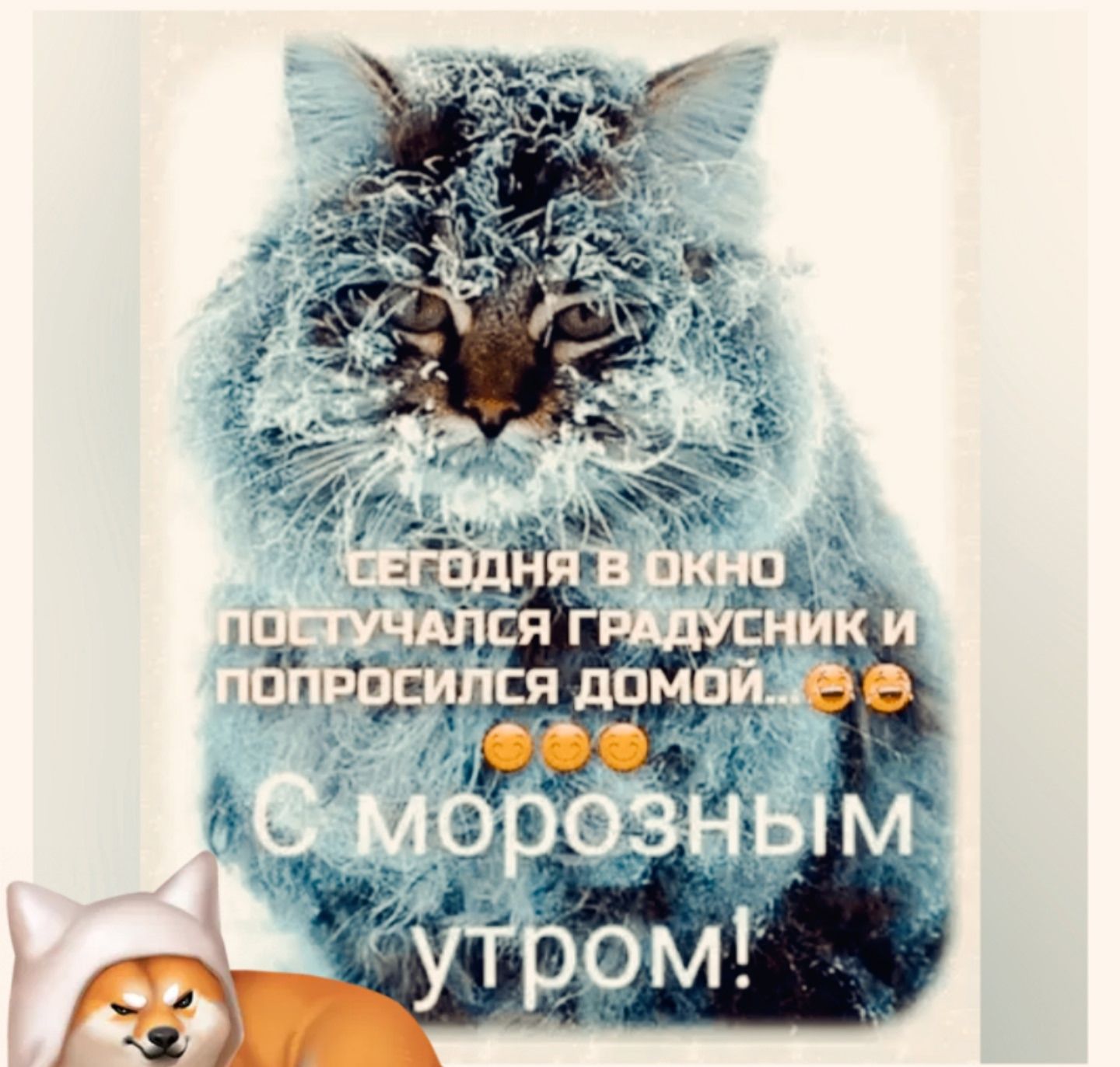 Сегодня в окно постучался градусник и попросился домой... С морозным утром!