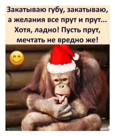 Закатываю губу, закатываю, а желания все прут и прут... Хотя, ладно! Пусть прут, мечтать не вредно же!