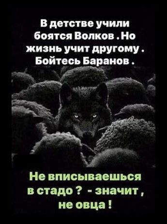В детстве учили бояться Волков. Но жизнь учит другого. Бойтесь Баранов. Не вписываешься в стадо? - значит, не овца!