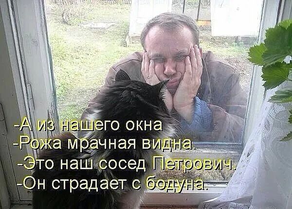 -А из нашего окна -Рожа мрачная видна. -Это наш сосед Петрович. -Он страдает с безумна