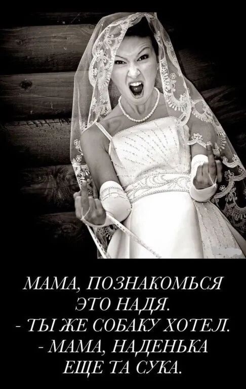 МАМА, ПОЗНАКОМЬСЯ ЭТО НАДЯ. - ТЫ ЖЕ СОБАКУ ХОТЕЛ. - МАМА, НАДЕНЬКА ЕЩЕ ТА СУКА.