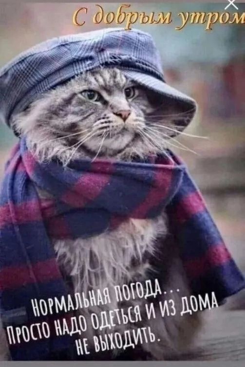 С добрым утром. Нормальная погода... Просто надо одеться и из дома не выходить.