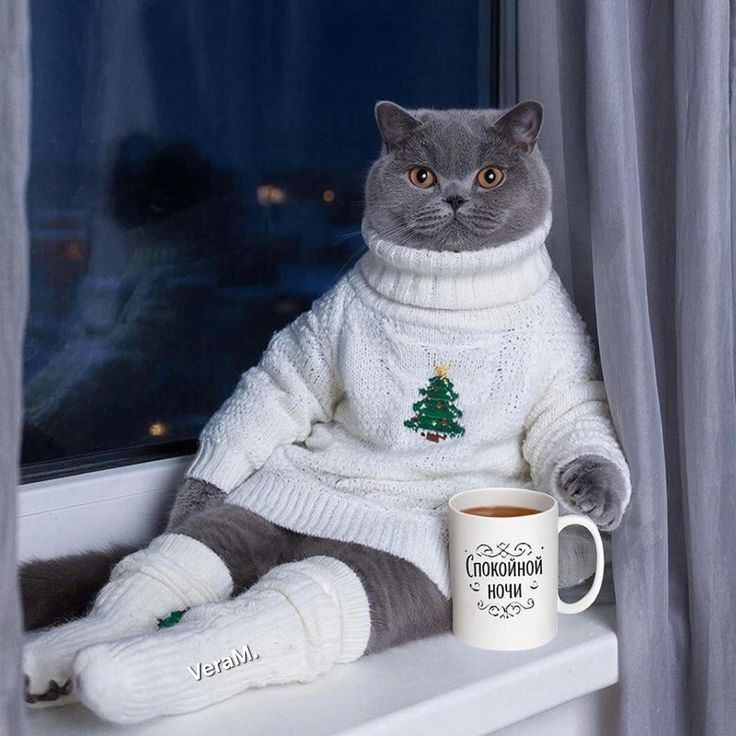 Спокойной ночи