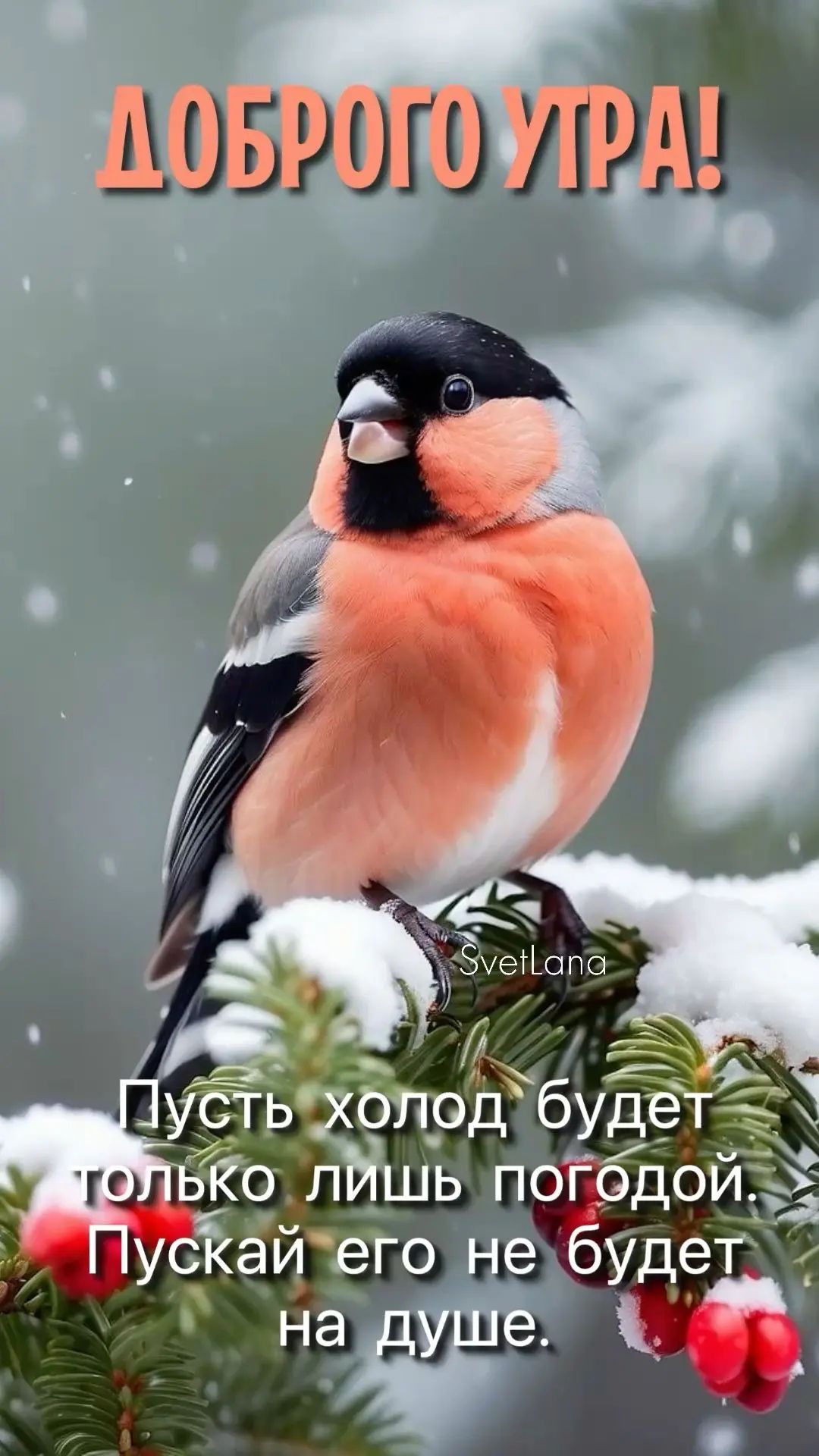 ДОБРОГО УТРА!
Пусть холод будет только погодой. Пускай его не будет на душе.