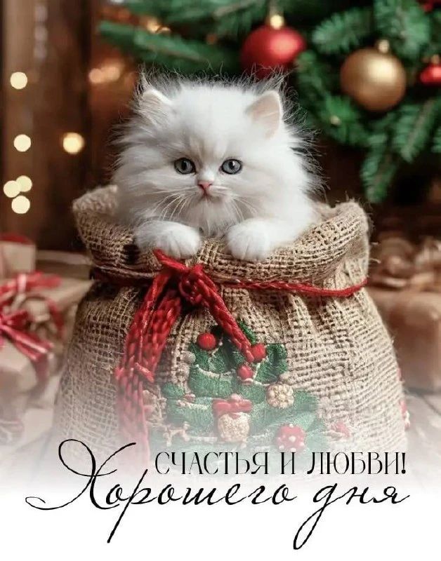 Счастья и любви! Хорошего дня