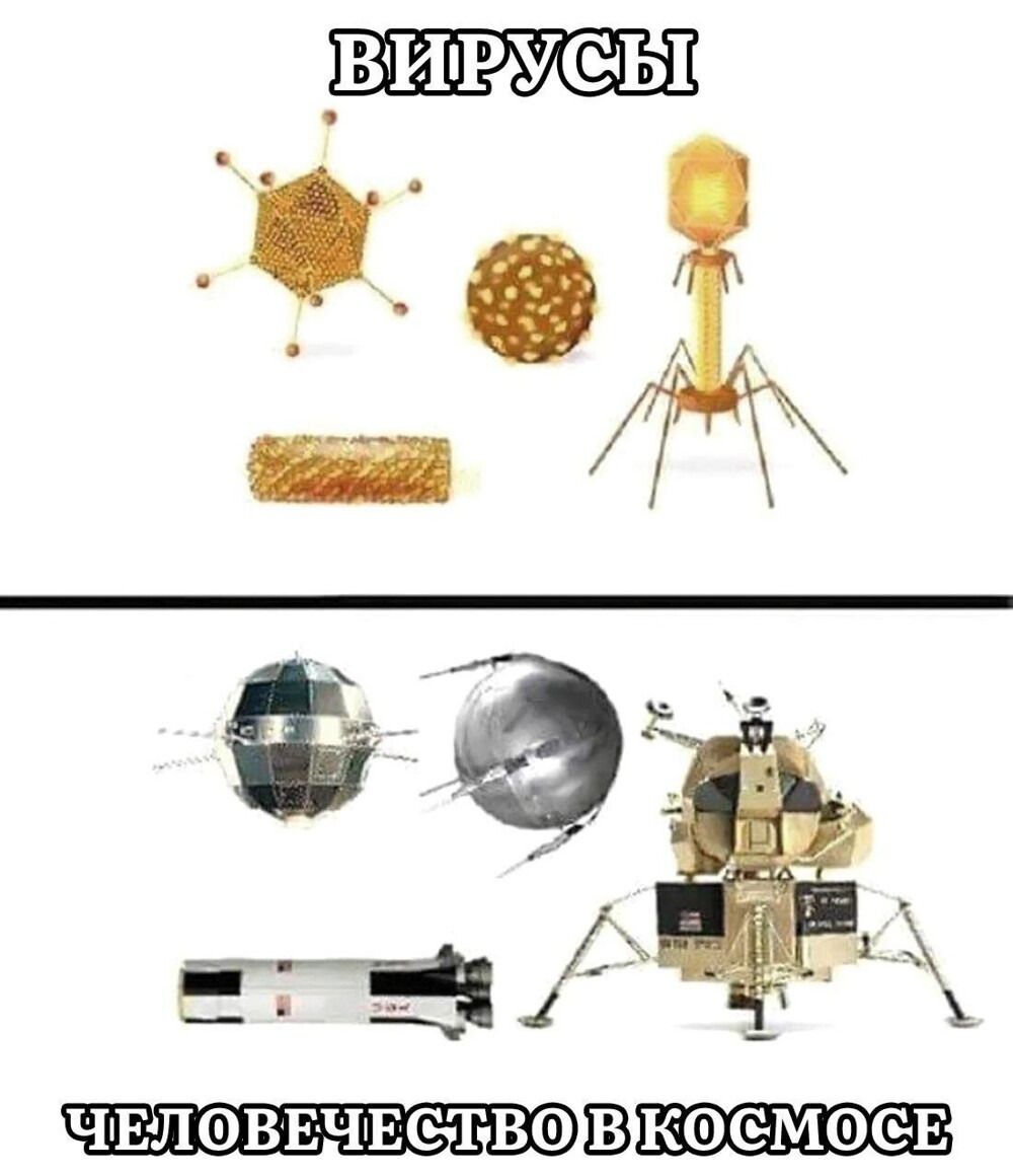 ВИРУСЫ / ЧЕЛОВЕЧЕСТВО В КОСМОСЕ