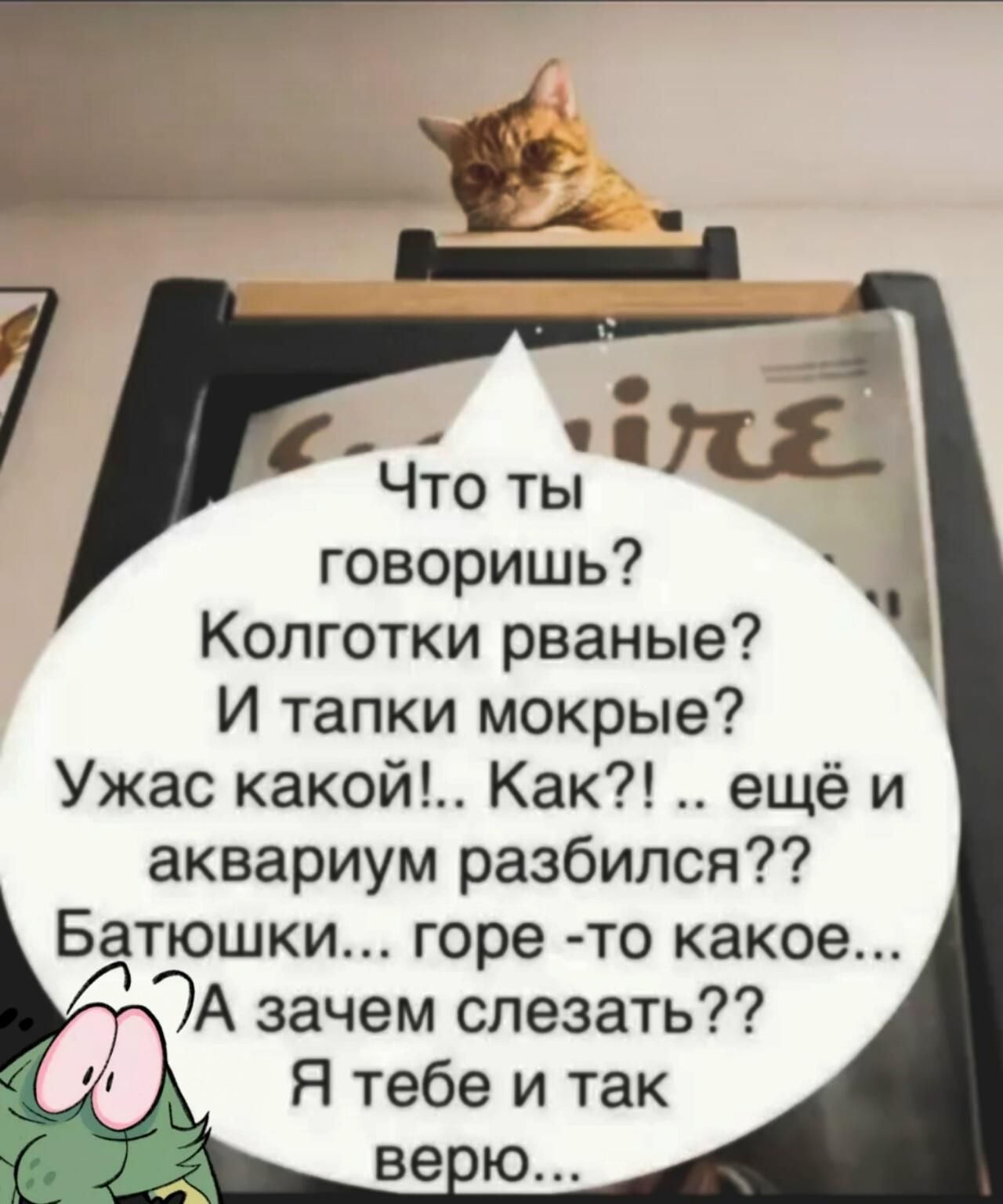 Что ты говоришь? Колготки рваные? И тапки мокрые? Ужас какой!.. Как?! .. еще и аквариум разбился?? Батюшки... горе-то какое... А зачем слезать? Я тебе и так верю...
