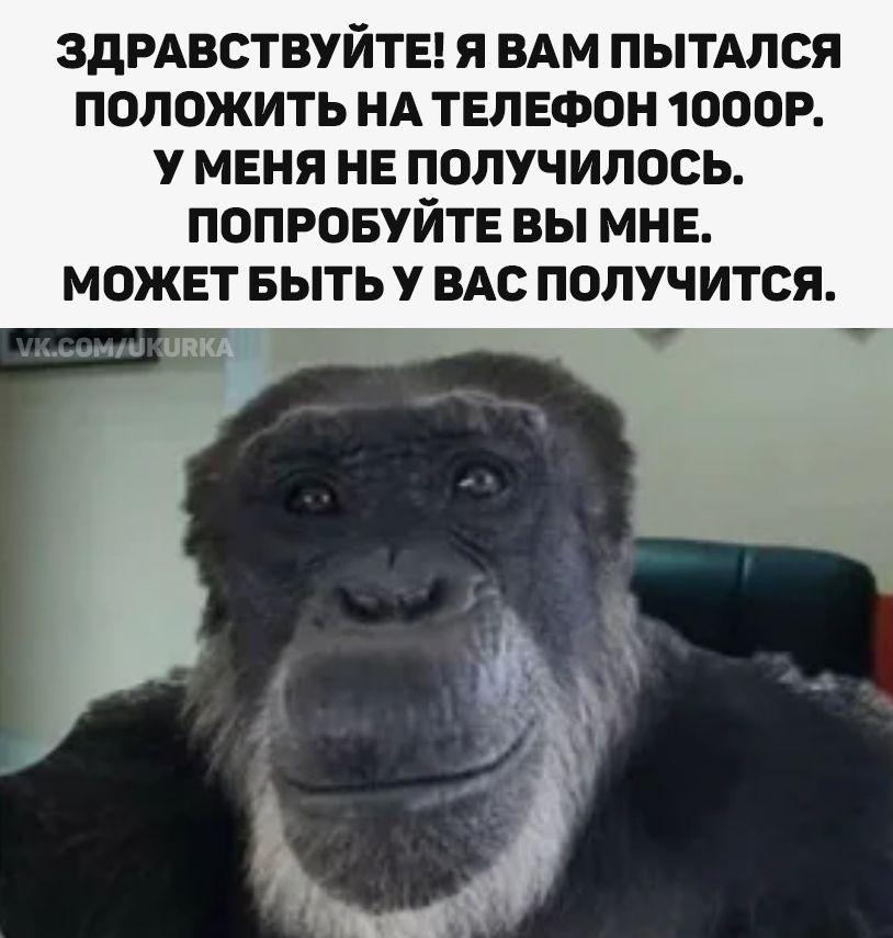 ЗДРАВСТВУЙТЕ! Я ВАМ ПЫТАЛСЯ ПОЛОЖИТЬ НА ТЕЛЕФОН 1000Р. У МЕНЯ НЕ ПОЛУЧИЛОСЬ. ПОПРОБУЙТЕ ВЫ МНЕ. МОЖЕТ БЫТЬ У ВАС ПОЛУЧИТСЯ.