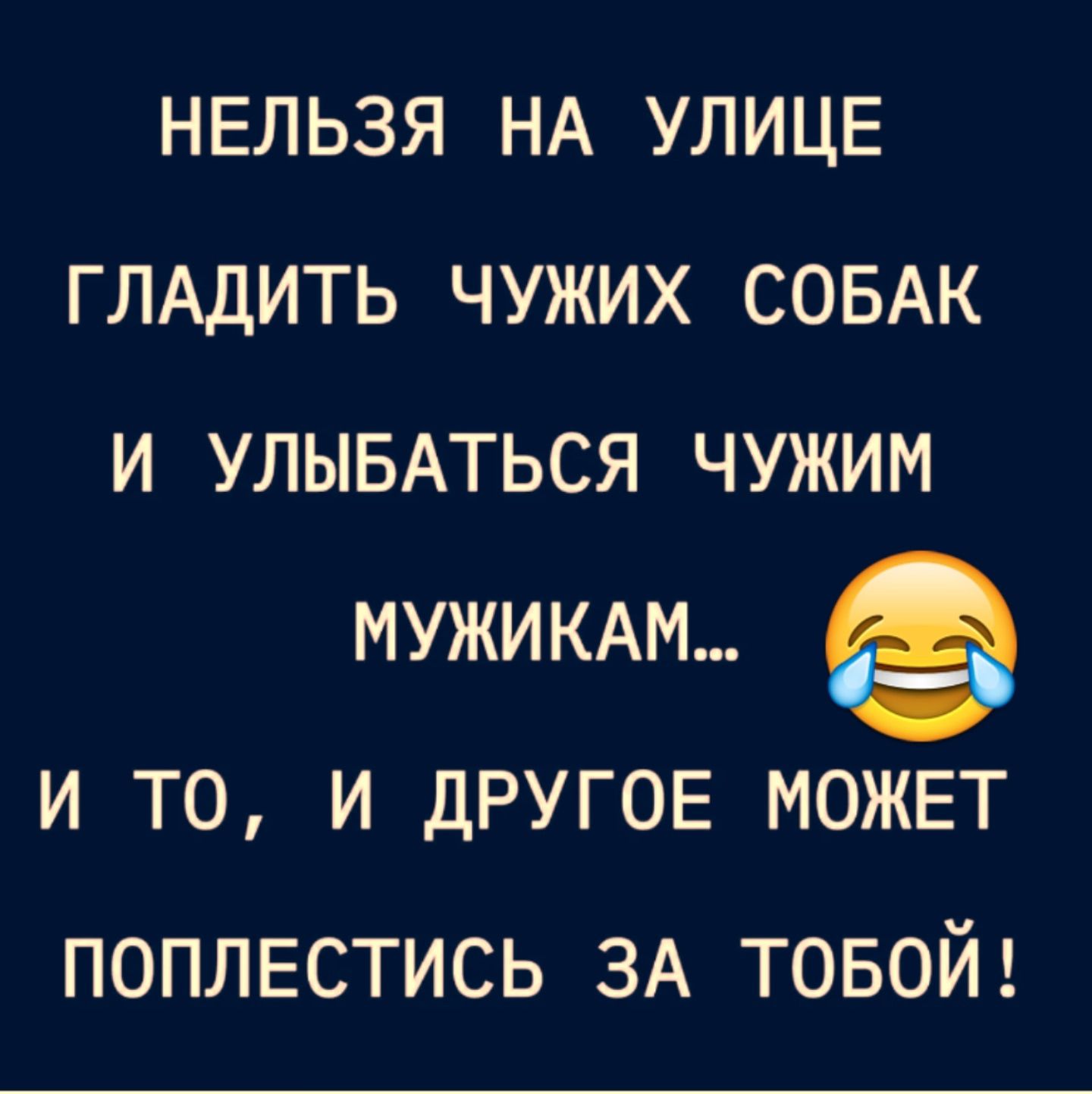 НЕЛЬЗЯ НА УЛИЦЕ ГЛАДИТЬ ЧУЖИХ СОБАК И УЛЫБАТЬСЯ ЧУЖИМ МУЖИКАМ... И ТО, И ДРУГОЕ МОЖЕТ ПОПЛЕСТИСЬ ЗА ТОБОЙ!
