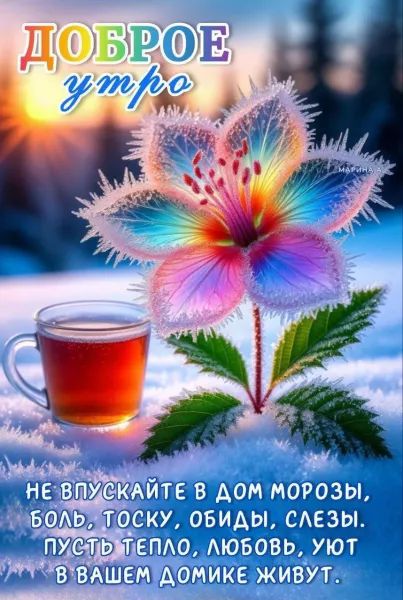 Доброе утро. Не впускайте в дом морозы, боль, тоску, обиды, слезы. Пусть тепло, любовь, уют в вашем домике живут.
