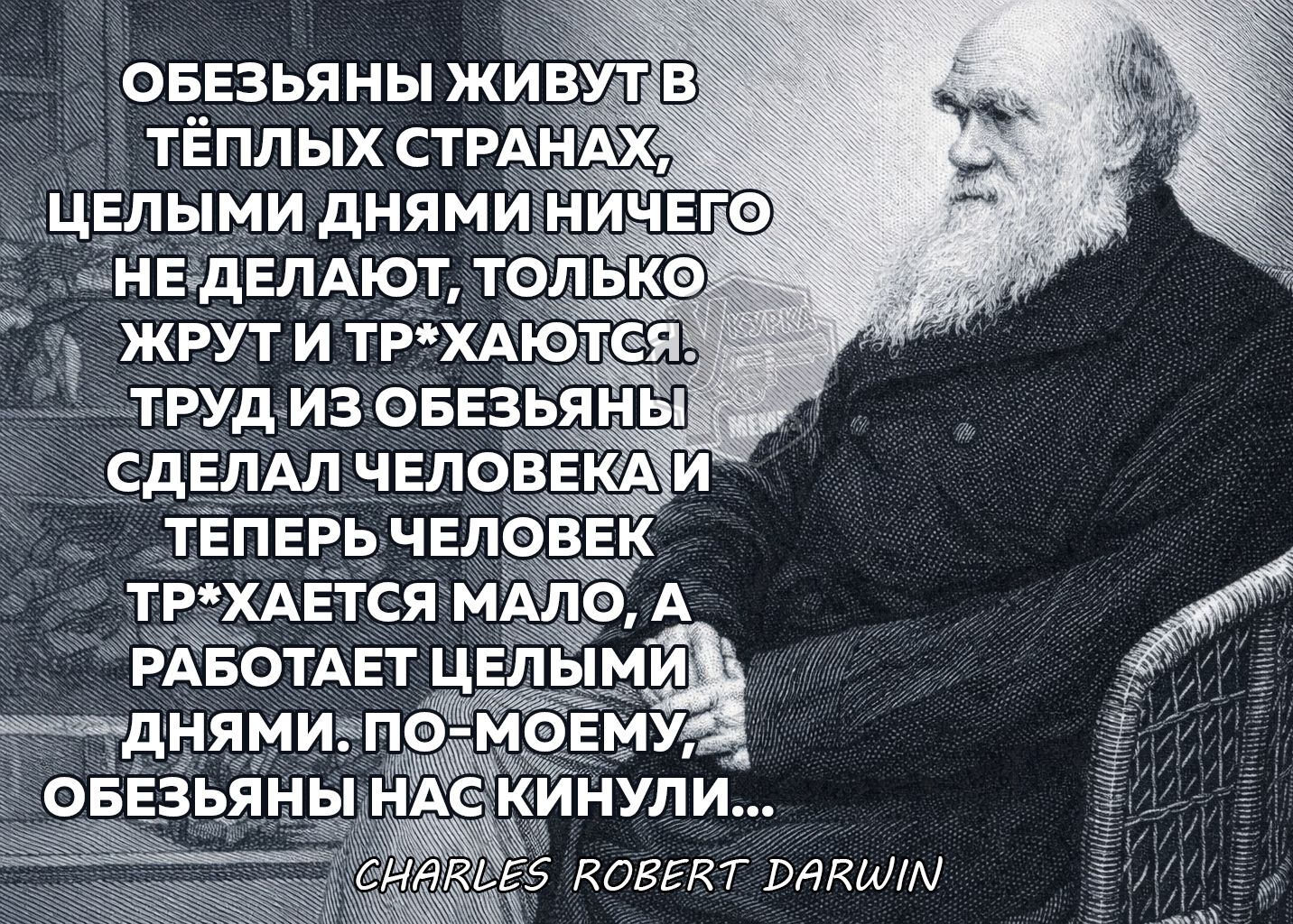 ОБЕЗЬЬЯНЫ ЖИВУТ В ТЁПЛЫХ СТРАНАХ, ЦЕЛЫМИ ДНЯМИ НИЧЕГО НЕ ДЕЛАЮТ, ТОЛЬКО ЖРУТ И ТР*ХАЮТСЯ. ТРУД ИЗ ОБЕЗЬЯНЫ СДЕЛАЛ ЧЕЛОВЕКА И ТЕПЕРЬ ЧЕЛОВЕК ТР*ХАЕТСЯ МАЛО, А РАБОТАЕТ ЦЕЛЫМИ ДНЯМИ. ПО-МОЕМУ, ОБЕЗЬЬЯНЫ НАС КИНУЛИ...