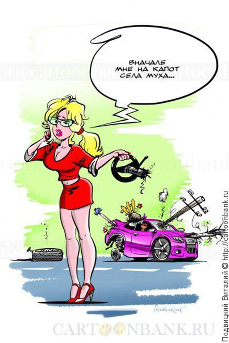 Вначале мне на капот села муха...