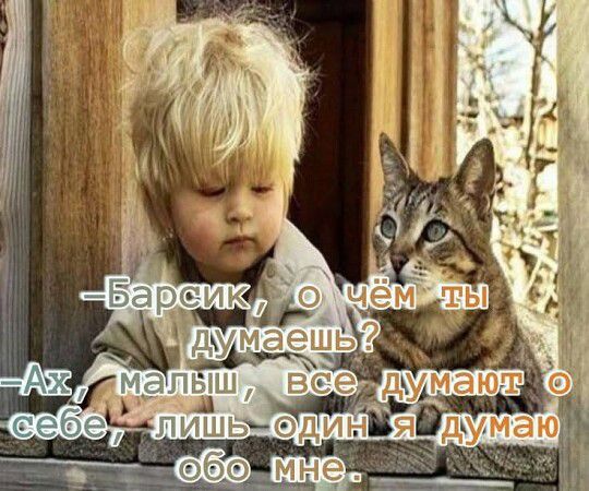 —Барсик, о чём ты думаешь? 
—Ах, малыш, все думают о себе, лишь один я думаю обo мне.