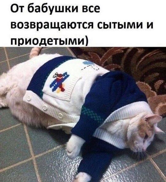 От бабушки все возвращаются сытыми и приодетыми)