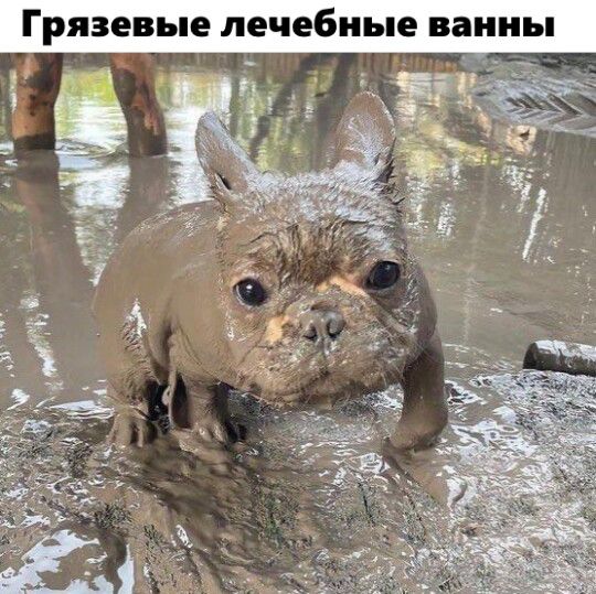 Грязевые лечебные ванны