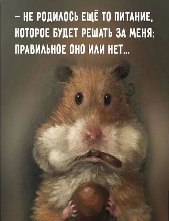 - НE РОДИЛОСЬ ЕЩЁ ТО ПИТАНИЕ, КОТОРОЕ БУДЕТ РЕШАТЬ ЗА МЕНЯ: ПРАВИЛЬНОЕ ОНО ИЛИ НЕТ...