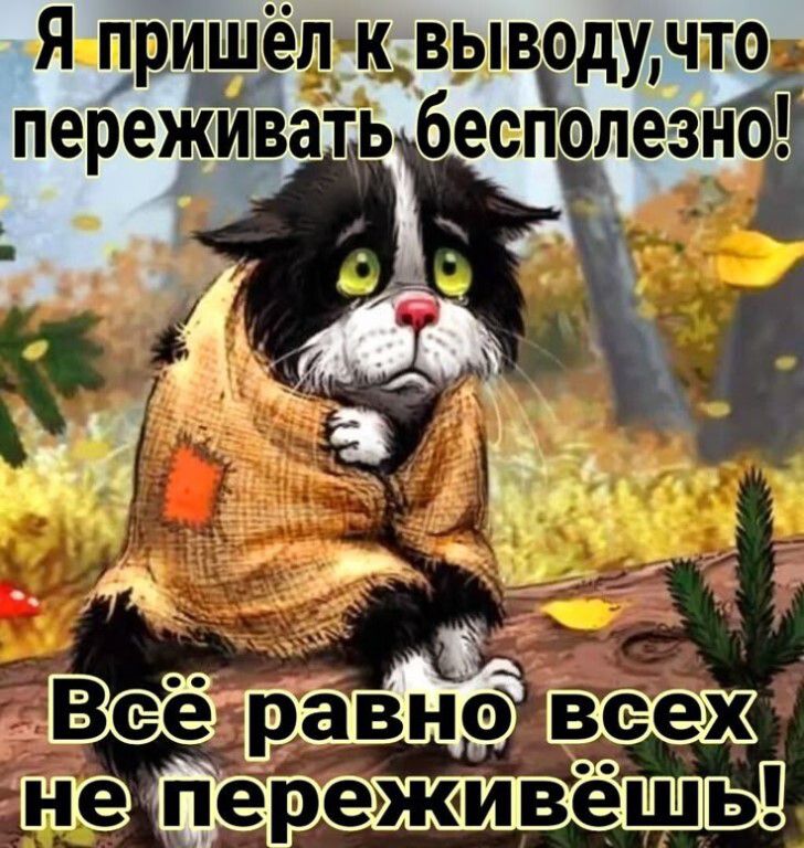 Я пришёл к выводу, что переживать бесполезно! Всё равно всех не переживёшь!