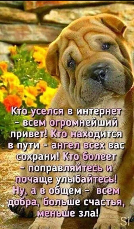 Кто уселся в интернет — всем огромнейший привет! Кто находится в пути — ангел всех вас сохранИ! Кто болеет — поправляйтесь и почаще улыбайтесь! Ну, а в общем — всем добра, больше счастья, меньше зла!