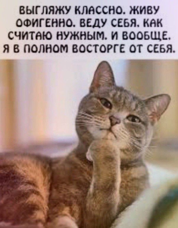 ВЫГЛЛЯЖУ КЛАССНО. ЖИВУ ОФИГЕННО. ВЕДУ СЕБЯ, КАК СЧИТАЮ НУЖНЫМ И ВООБЩЕ, Я В ПОЛНОМ ВОСТОРГЕ ОТ СЕБЯ.