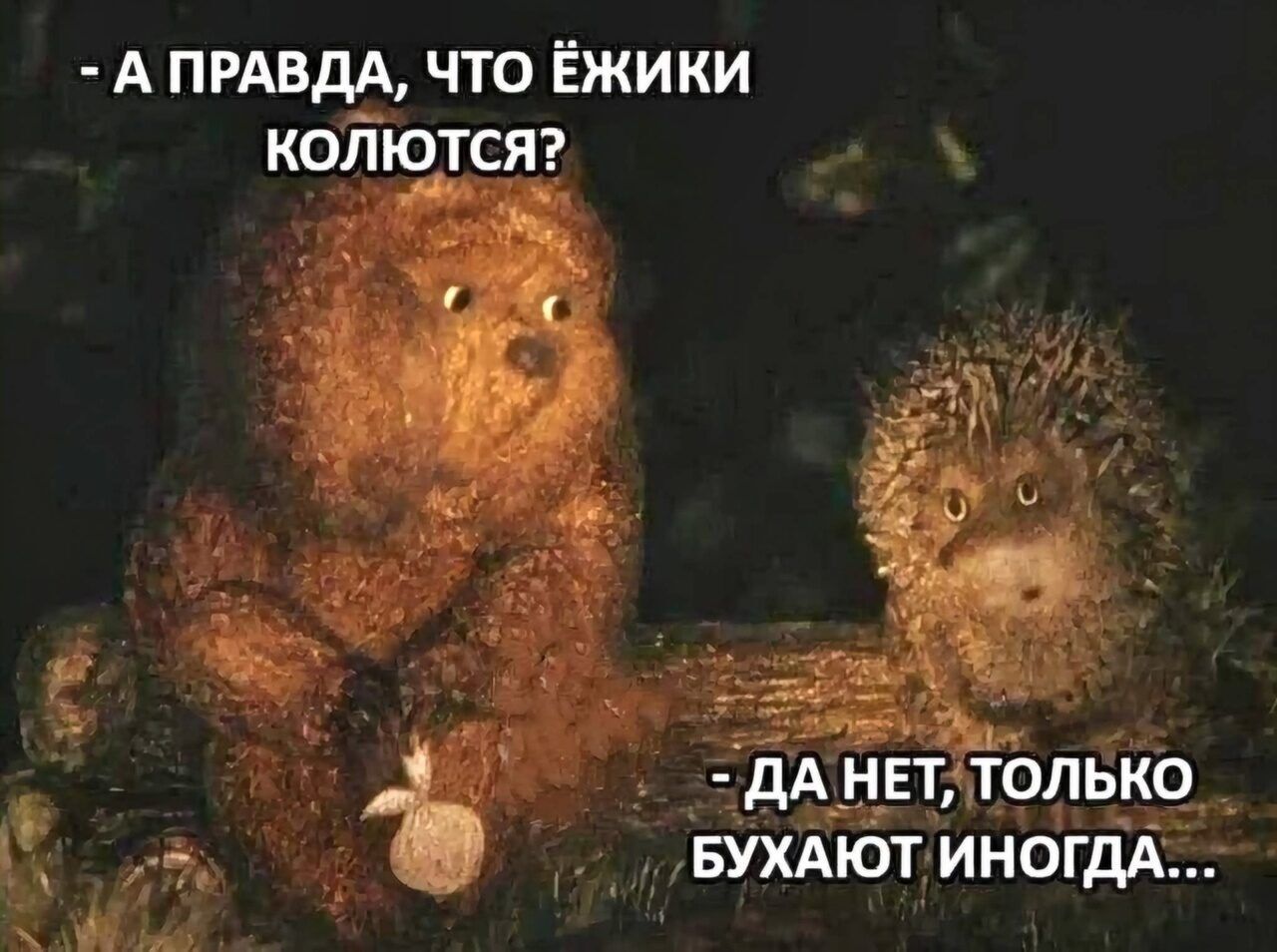 - А ПРАВДА, ЧТО ЁЖИКИ КОЛЮТСЯ? - ДА НЕТ, ТОЛЬКО БУХАЮТ ИНОГДА...