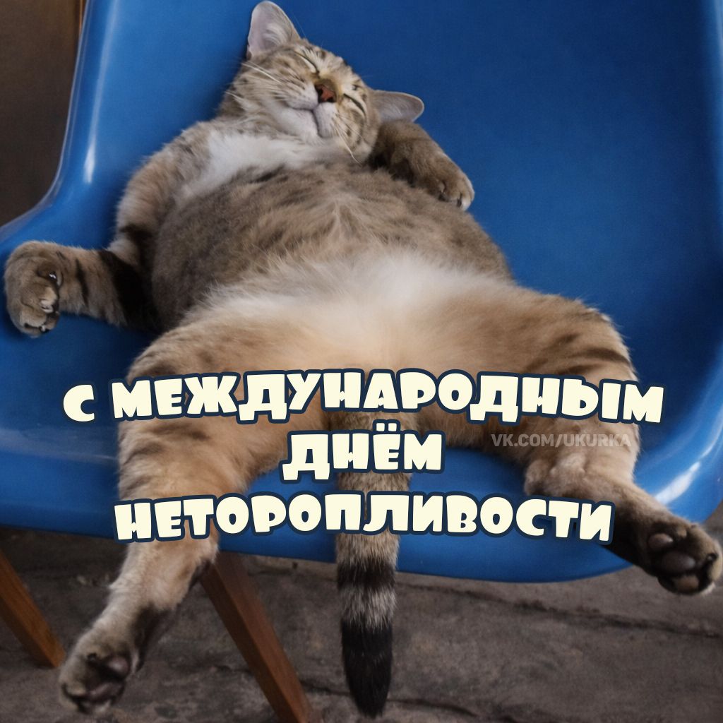 С МЕЖДУНАРОДНЫМ ДНЁМ НЕТОРПОЛЛИВОСТИ