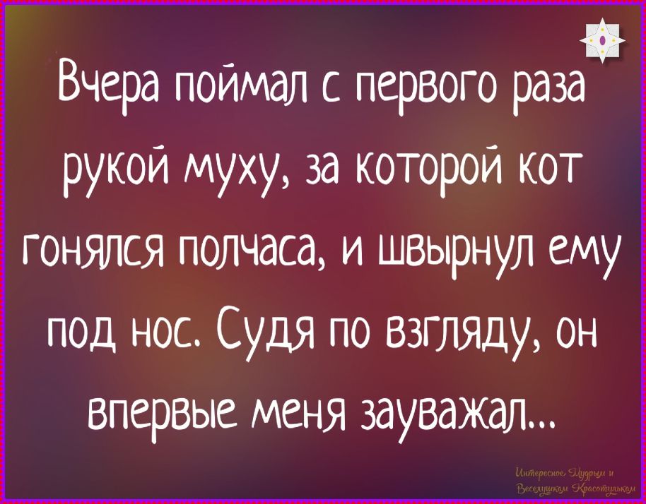 Вчера поймал с первого раза рукой мушку, за которой кот гонялся полчаса, и швырнул ему под нос. Судя по взгляду, он впервые меня зауважал...