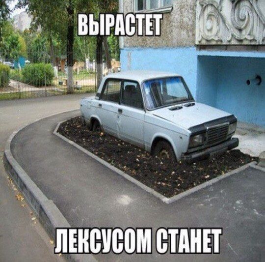 Вырастет ЛЕКСУСОМ СТАНЕТ