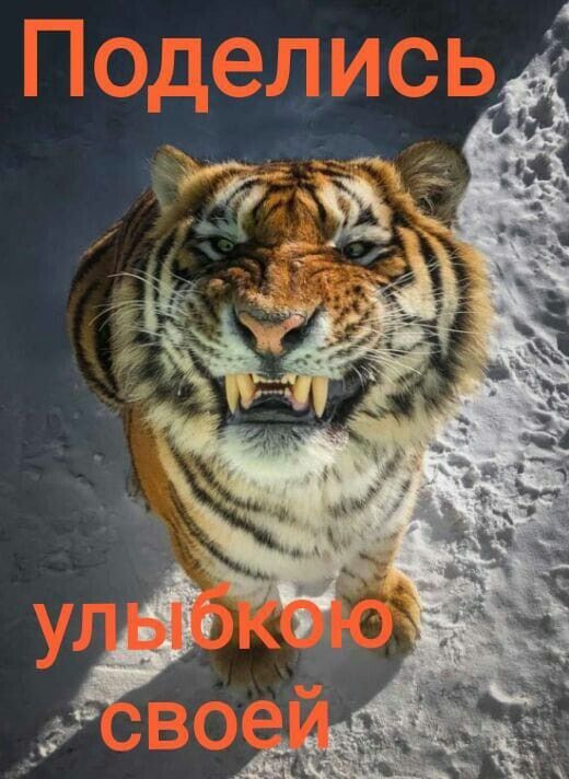 Поделись улыбкою своей