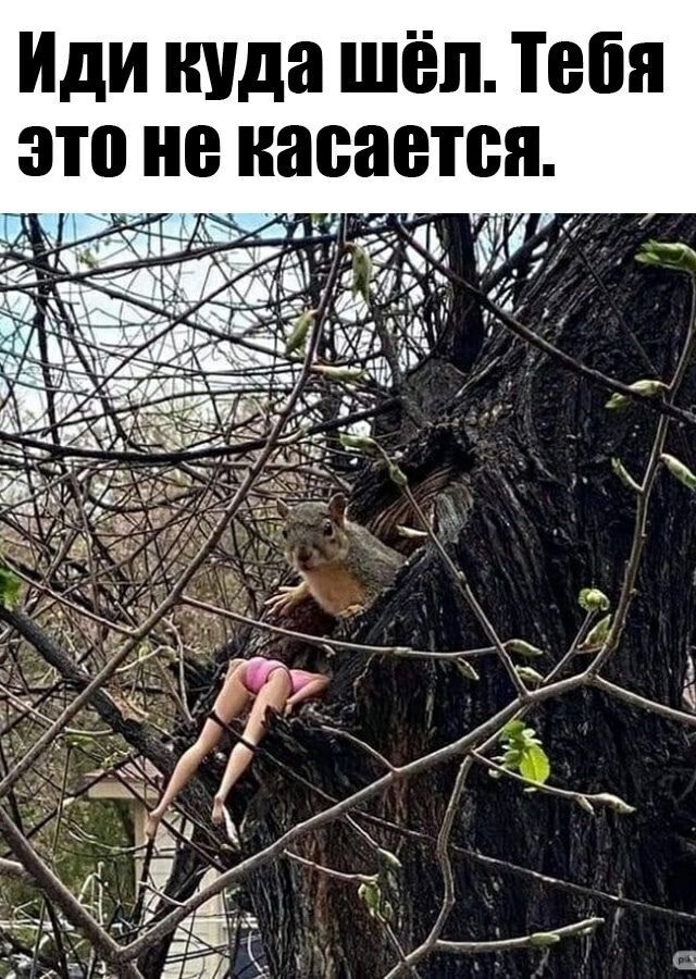 Иди куда шёл. Тебя это не касается.