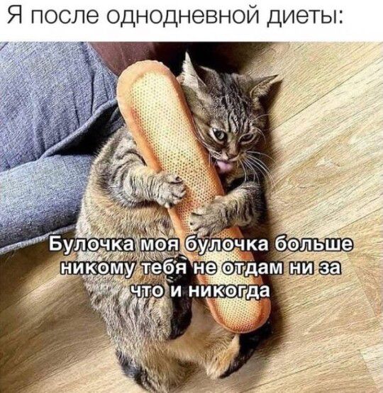 Я после однодневной диеты: Булочка моя булочка больше никому тебя не отдам ни за что и никогда