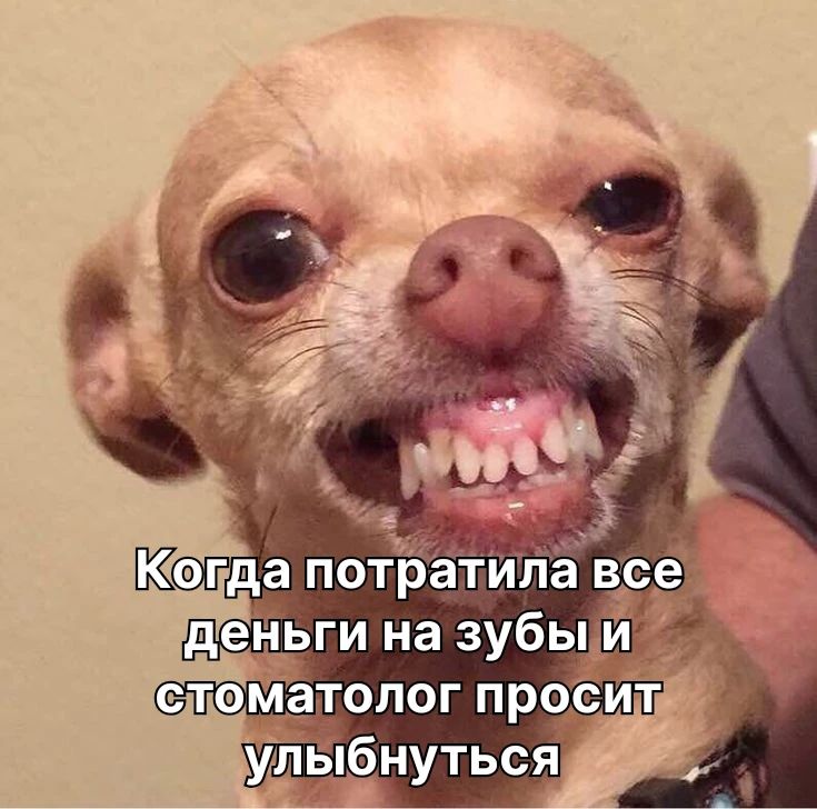 Когда потратила все деньги на зубы и стоматолог просит улыбнуться