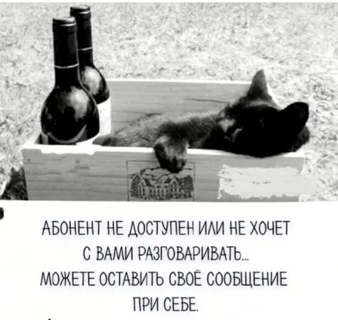 АБОНЕНТ НЕ ДОСТУПЕН ИЛИ НЕ ХОЧЕТ С ВАМИ РАЗГОВАРИВАТЬ... МОЖЕТЕ ОСТАВИТЬ СВОЁ СООБЩЕНИЕ ПРИ СЕБЕ.