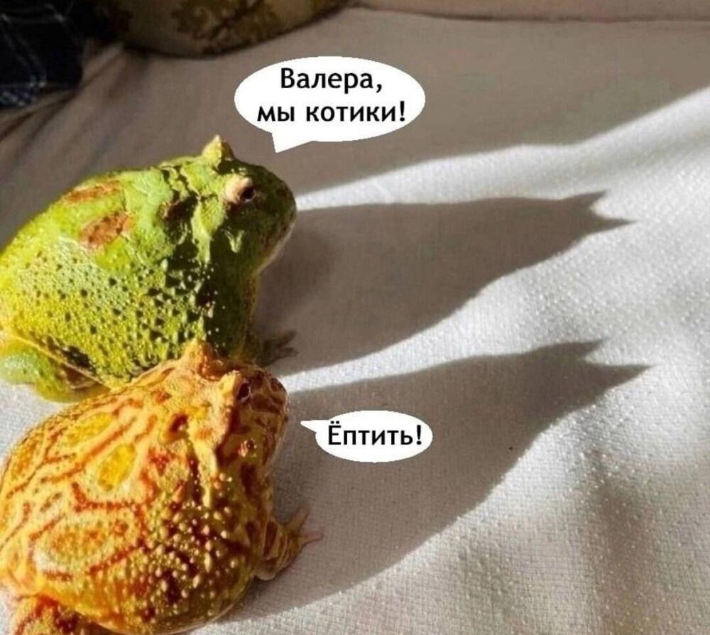 Валера, мы котики!
Ёптыть!