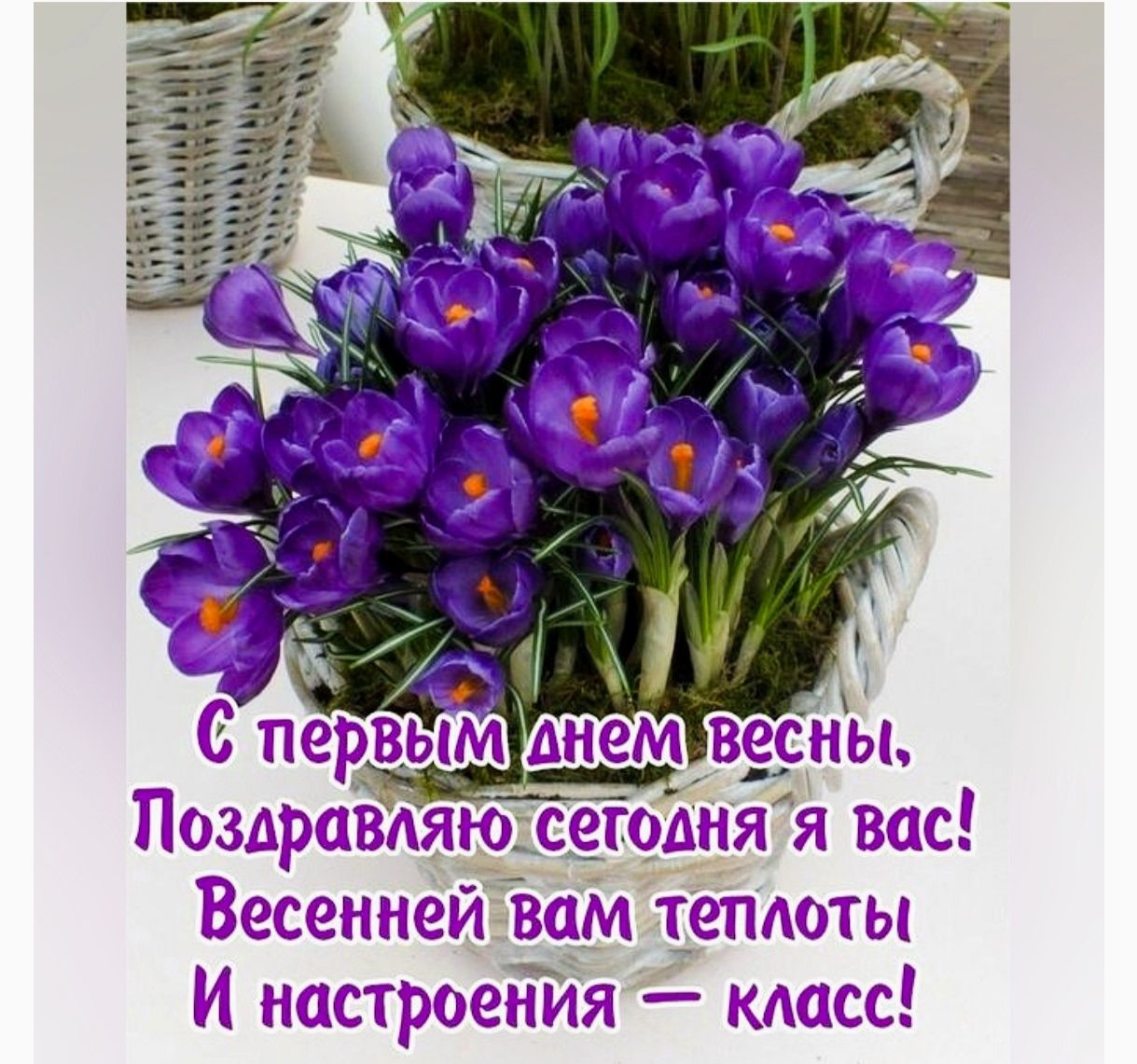 С первым днем весны, Поздравляю сегодня я вас! Весенней вам теплотЫ И настроения — класс!