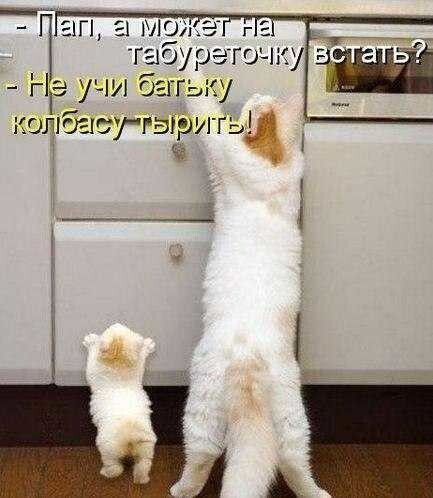 - Пап, а может на табуреточку встать?
- Не учи батку колбасу тырить!