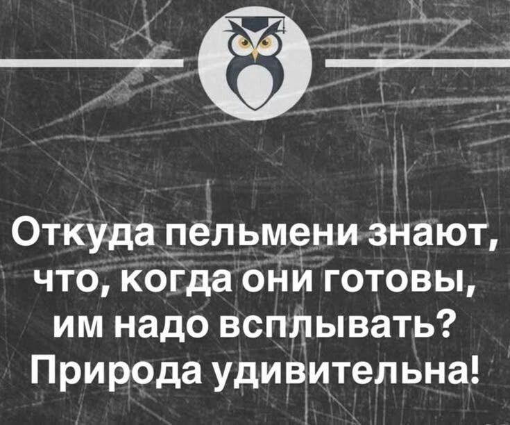 Откуда пельмени знают, что, когда они готовы, им надо всплывать? Природа удивительна!