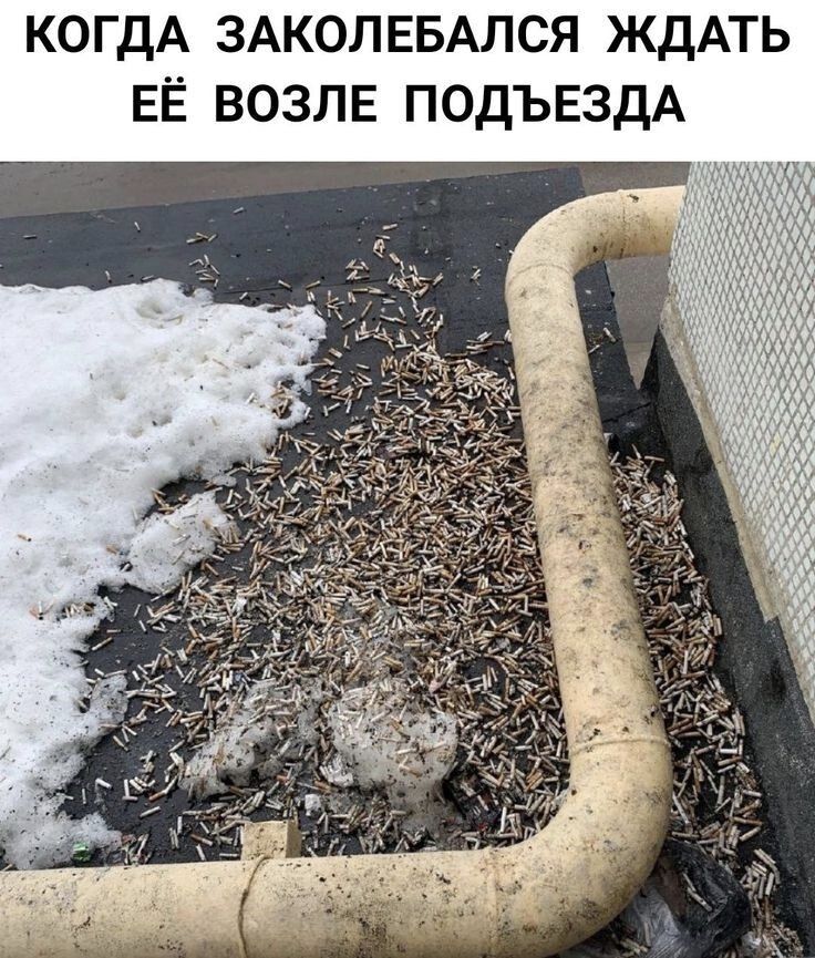 КОГДА ЗАКОЛЕБАЛСЯ ЖДАТЬ ЕЁ ВОЗЛЕ ПОДЪЕЗДА