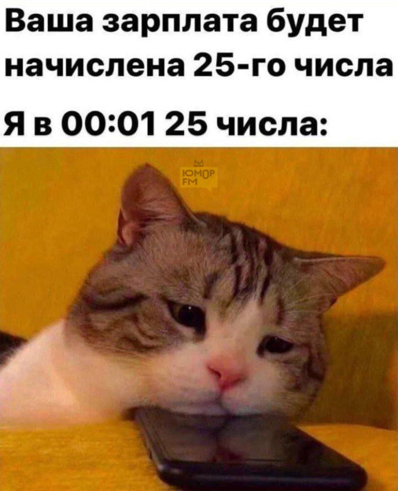 Ваша зарплата будет начислена 25-го числа Я в 00:0125 числа: