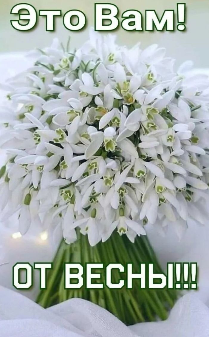 Это Вам! ОТ ВЕСНЫ!!!