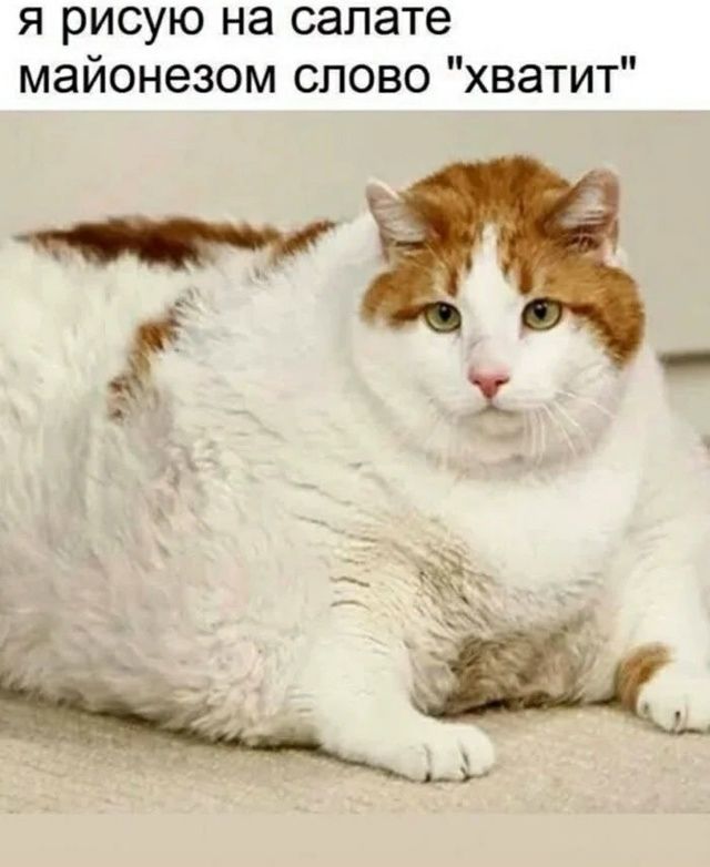 я рисую на салате майонезом слово 