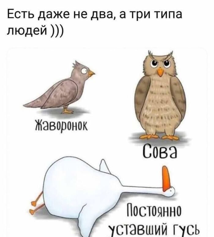 Есть даже не два, а три типа людей )))\nЖаворонок\nСова\nПостоянно уставший Гусь